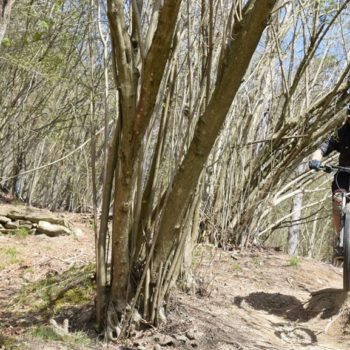 Appartamenti in Affitto a Finale Ligure | Appartamenti Ammobiliati ad Uso Turistico in Liguria | Finale Ligure Turismo: Outdoor Sport, Bike, Hike, Bicicletta, Mountain Bike, Escursionismo a Piedi | Appartamenti Silvia & Manu